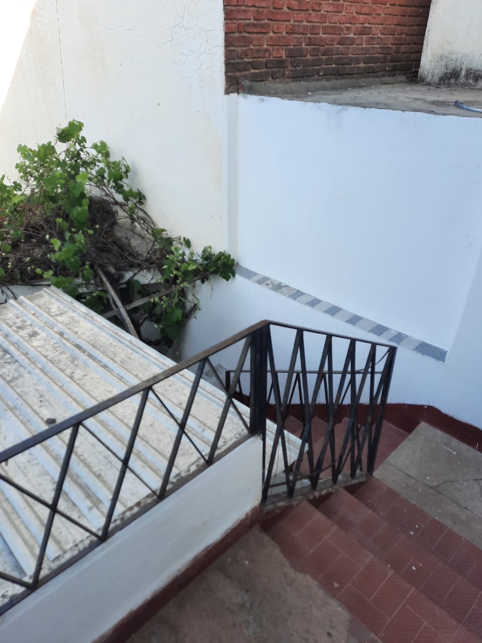 Casa Bolivia 448