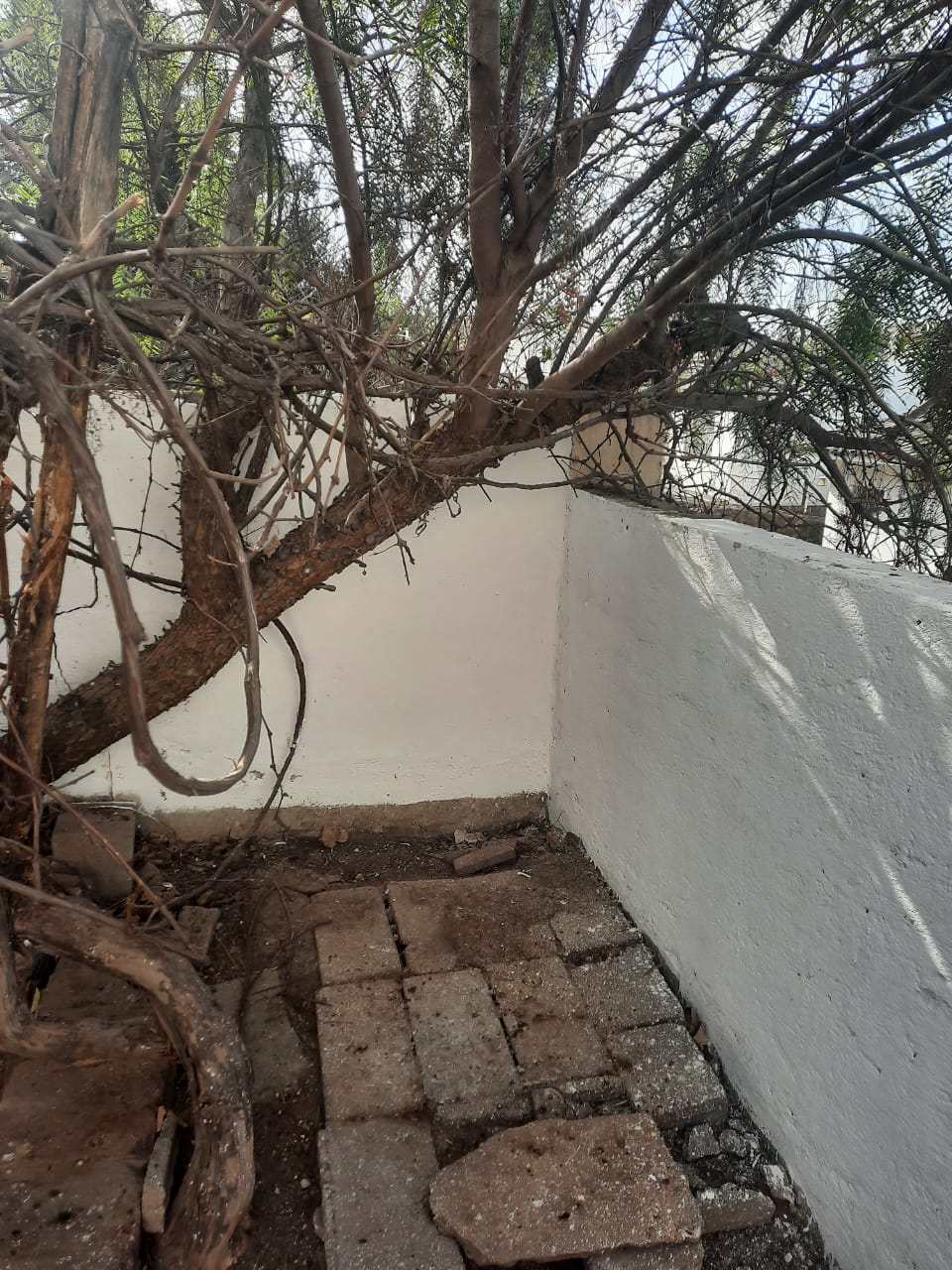 Casa en el Centro de Río Ceballos