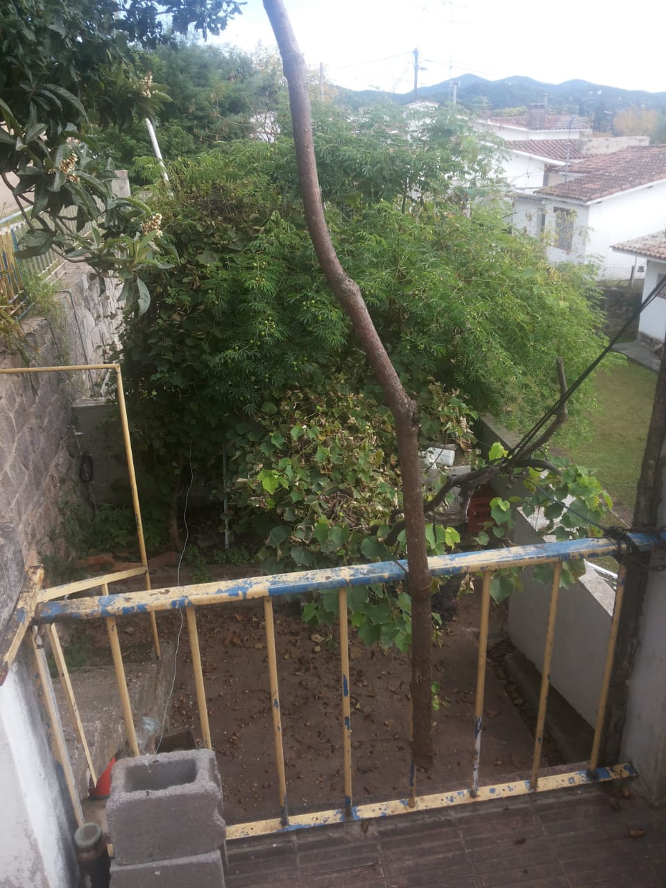 Casa en el Centro de Río Ceballos