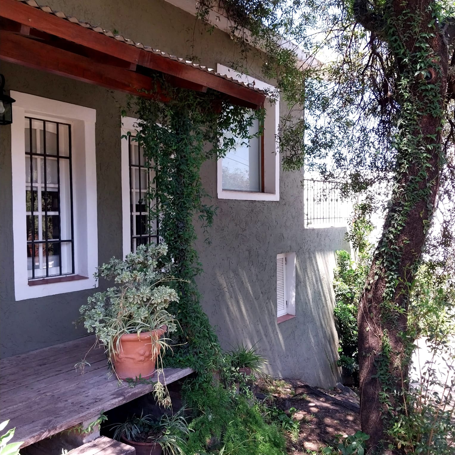 Lote Pietri