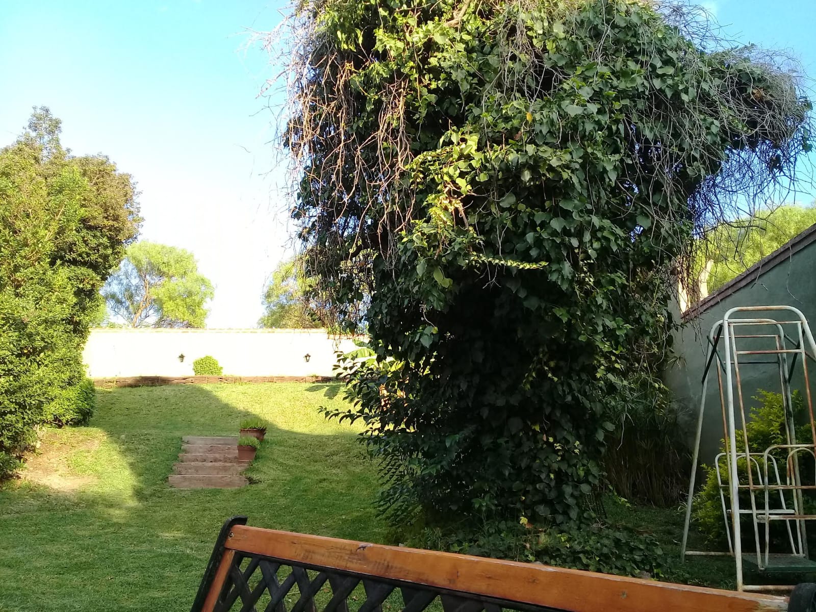 Lote Pietri