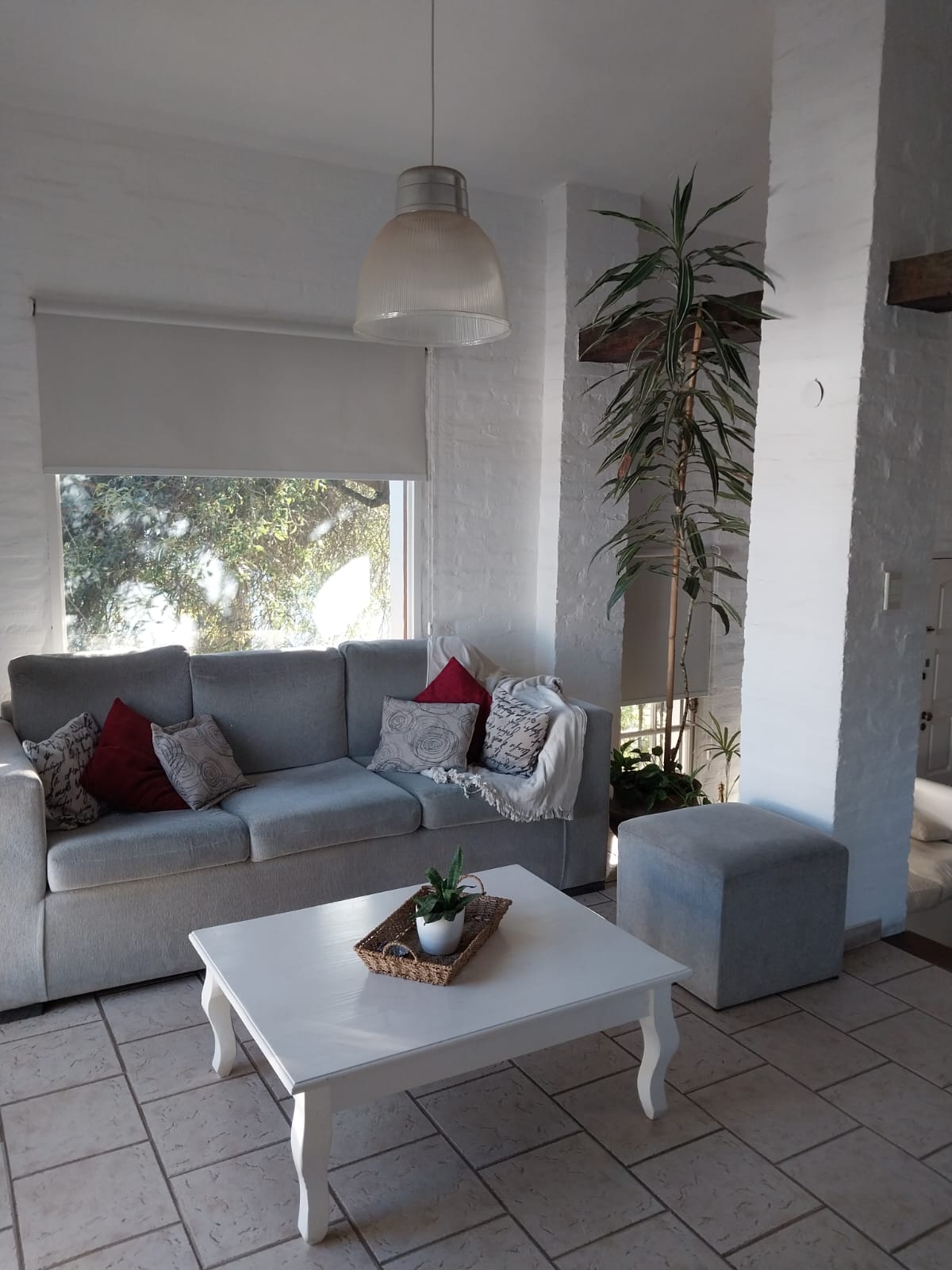 Lote Pietri