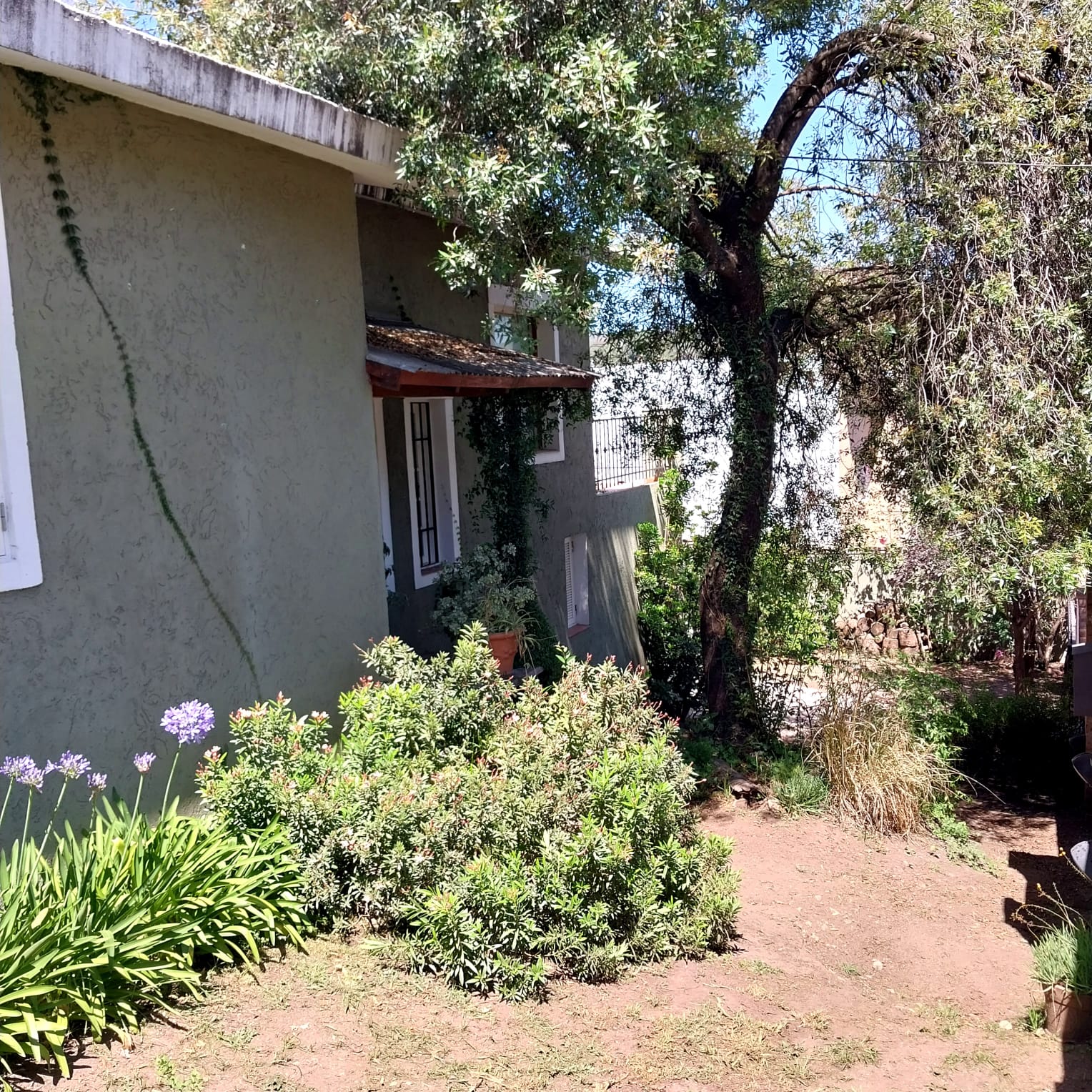 Lote Pietri