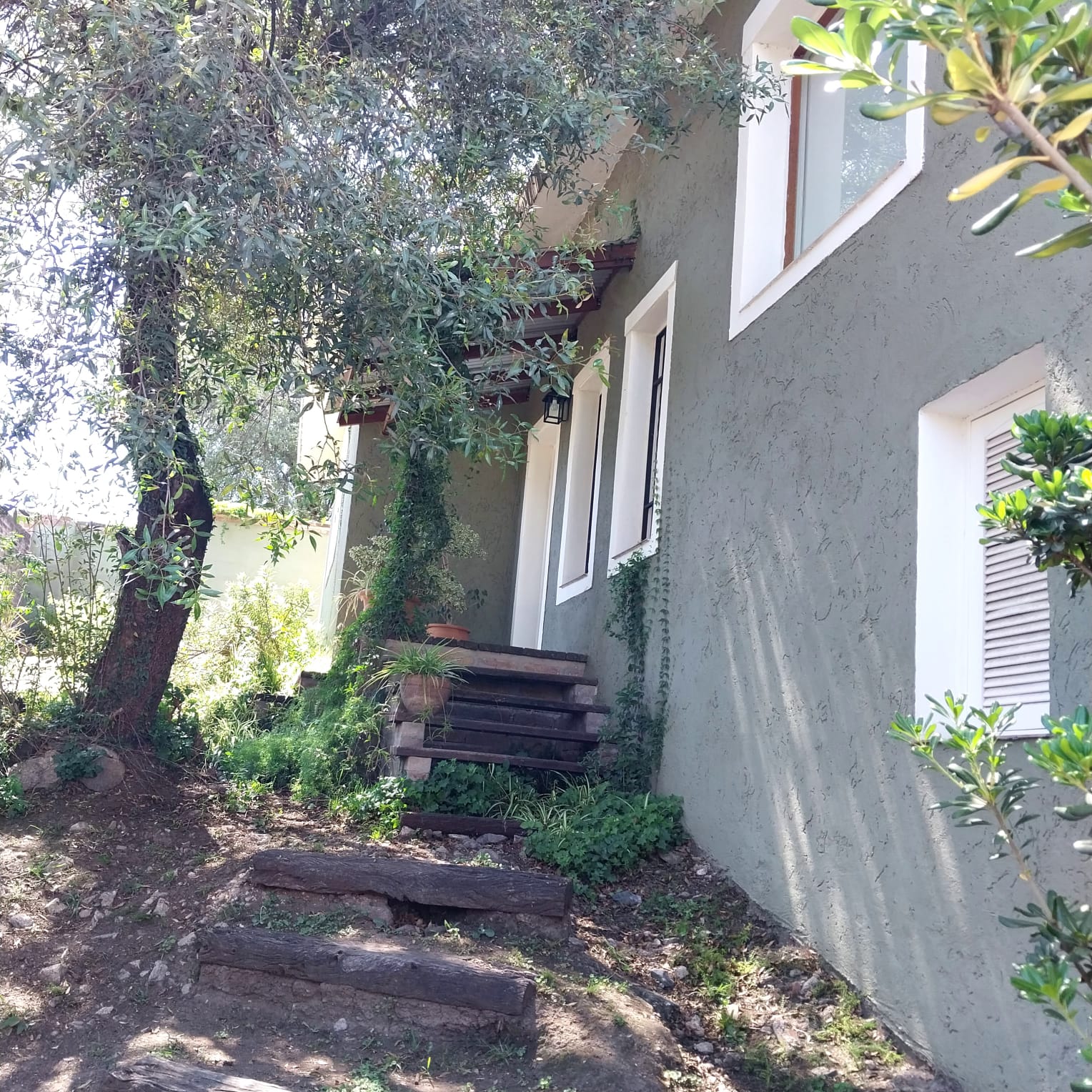 Lote Pietri