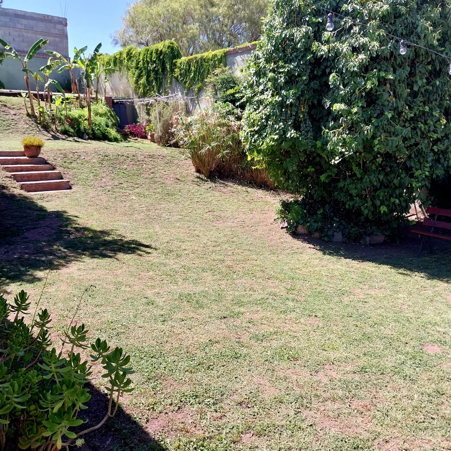 Lote Pietri