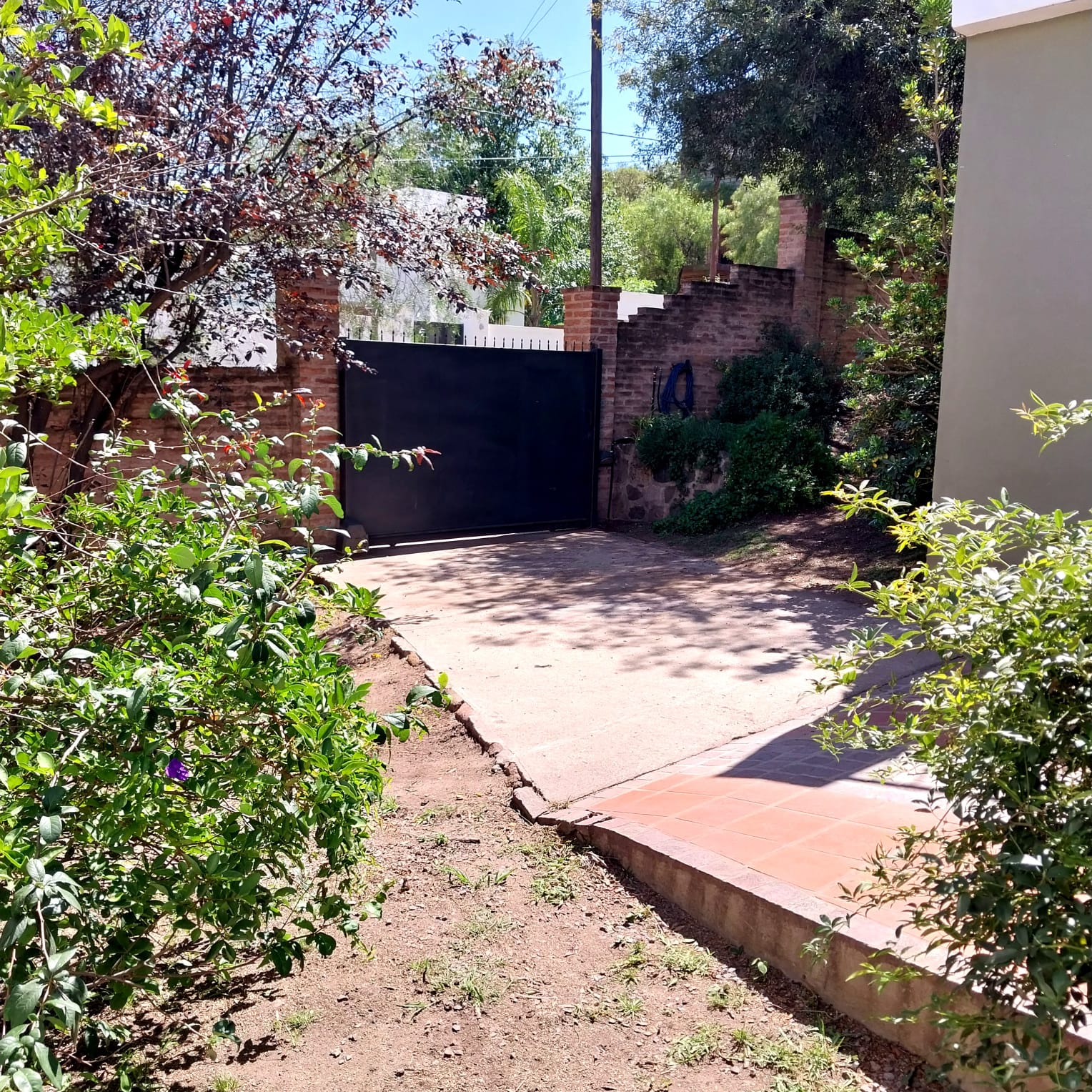 Lote Pietri