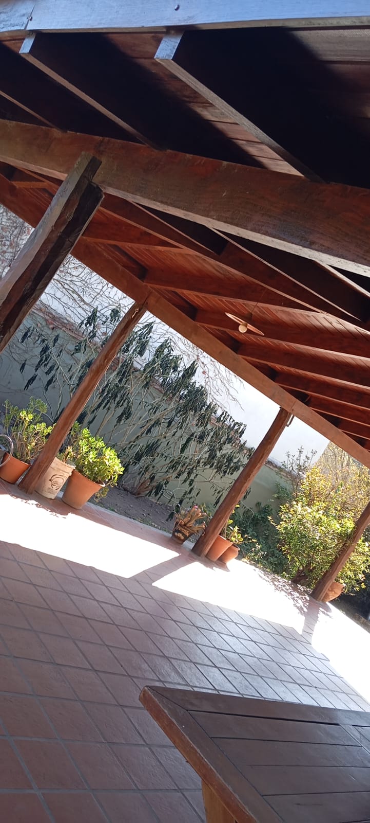 Lote Pietri