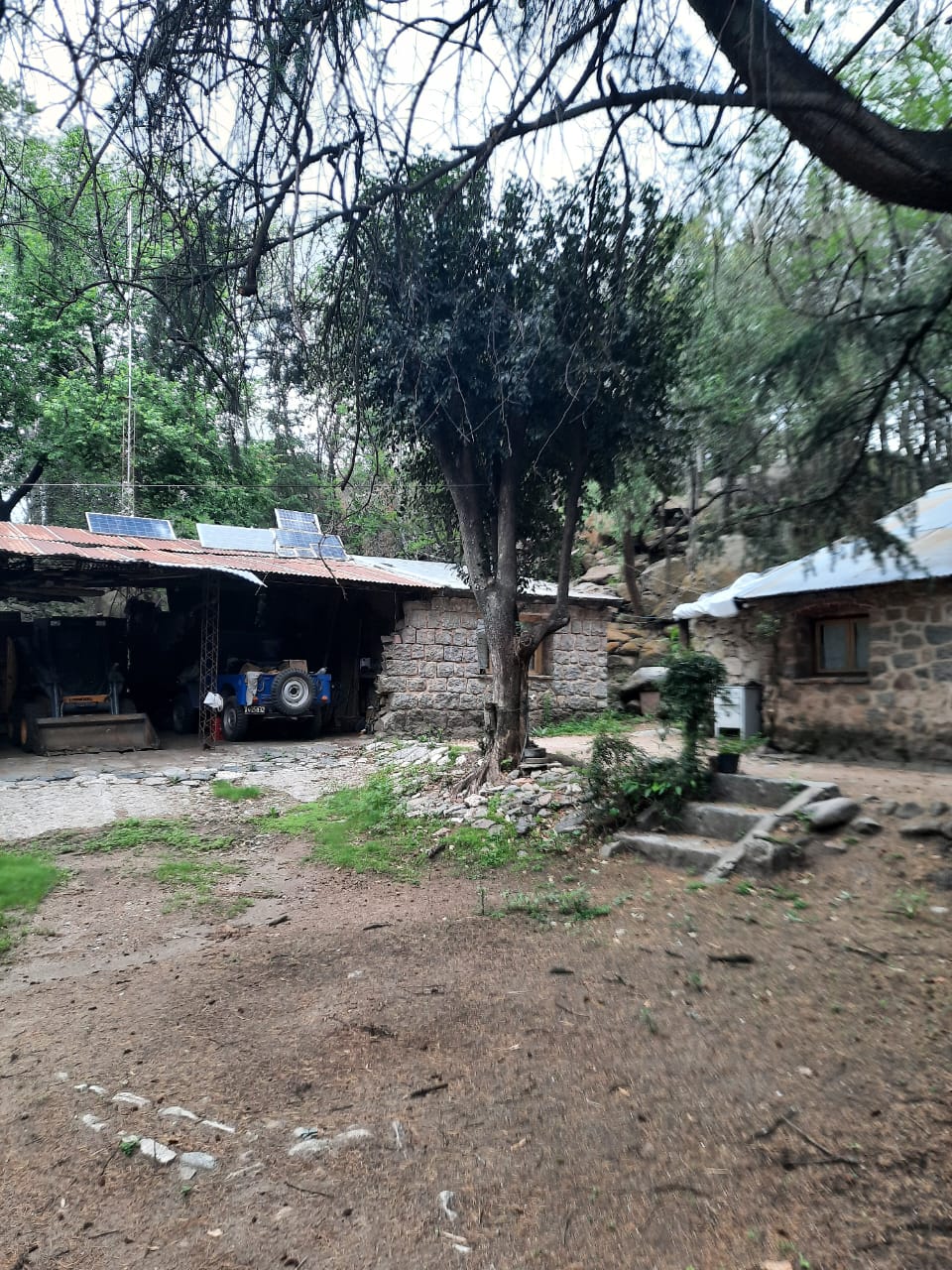 Vega - foto 7